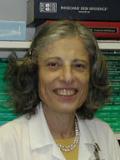 Dr. Gail E. Solomon